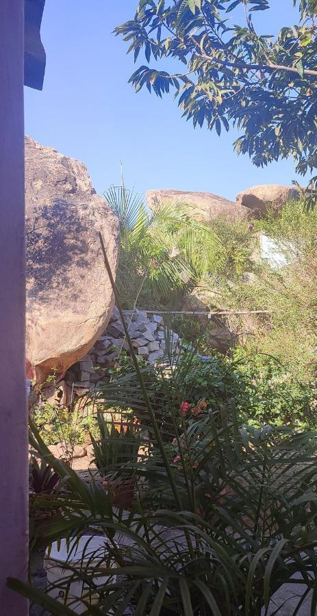 Hearthspace Hampi - Small Home, A Low-Impact Backpackers Hostel Εξωτερικό φωτογραφία